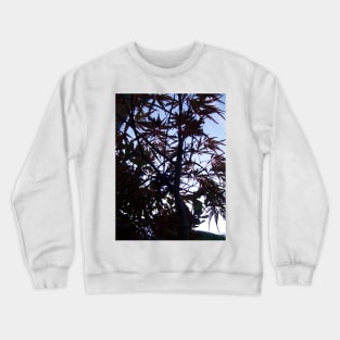 Silhouette of Maroon Maple Tree Crewneck Sweatshirt